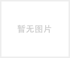 天赛LPMS-8325低压注胶机齿轮泵